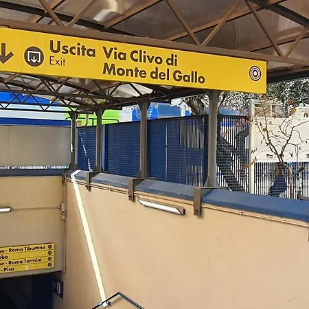 Vatican St. Peter روما