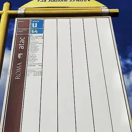 Vatican St. Peter روما